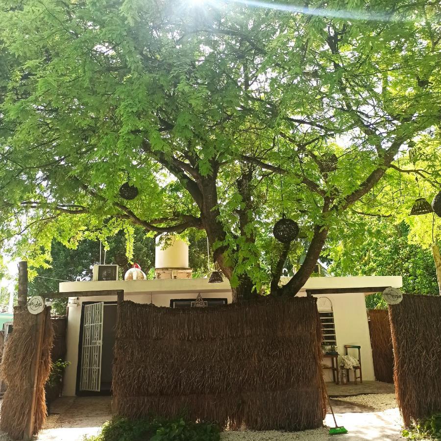 Casa Arte Bacalar Apartment Ngoại thất bức ảnh